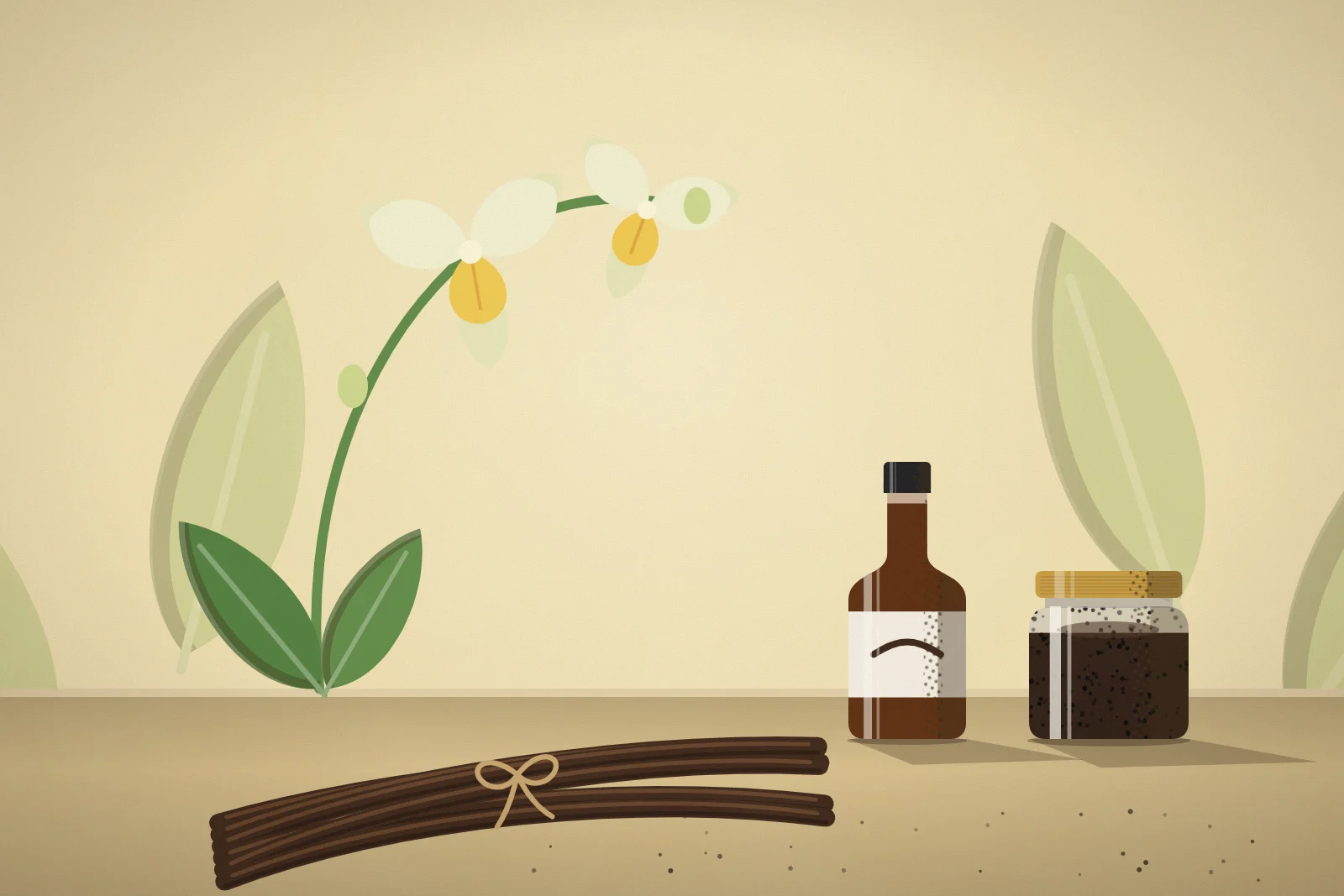 Vanilleextrakt vs. Vanillepaste: Was ist der Unterschied?